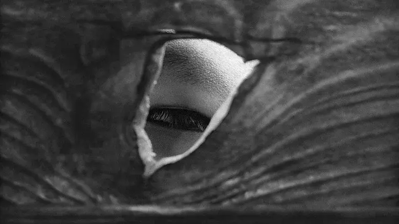 Pitfall still 3