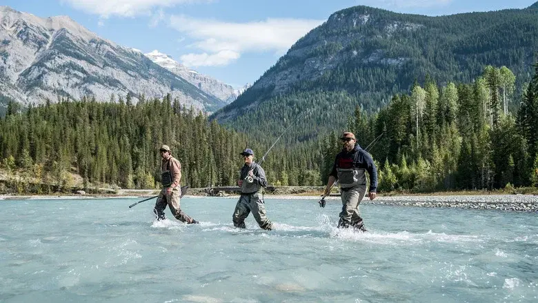 Hooké still 4