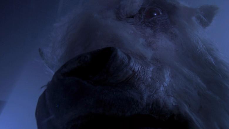 The White Buffalo still 2