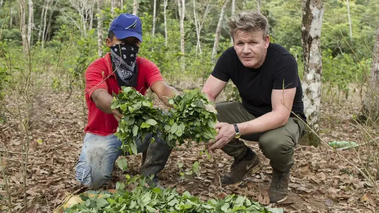 Gordon Ramsay on Cocaine still 1