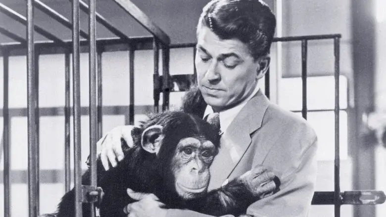 Bedtime for Bonzo still 3