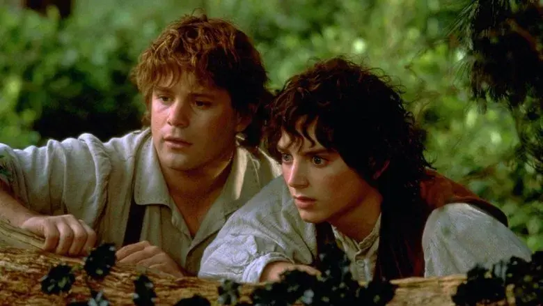 The Lord of the Rings: The Fellowship of the Ring still 7