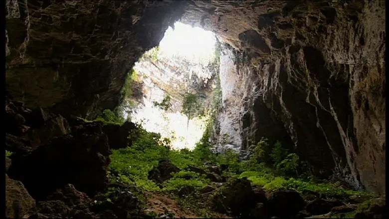 Expedition Borneo still 1