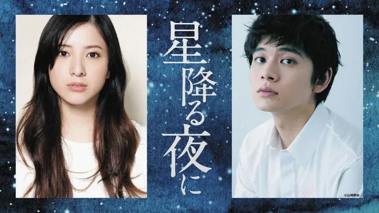 On a Starry Night still 3