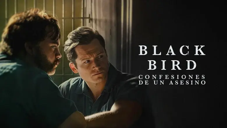 Black Bird still 4