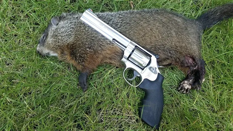 Mr. Groundhog meets Santa Claus still 1