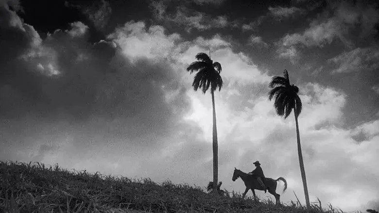 I Am Cuba still 2