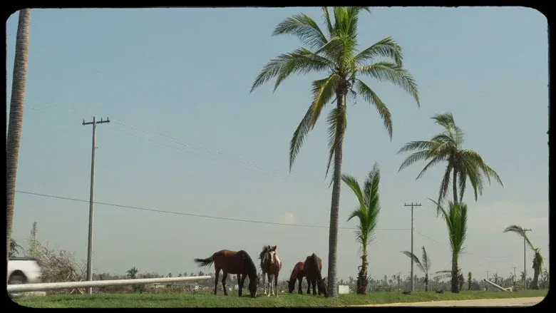 Carrizos still 1