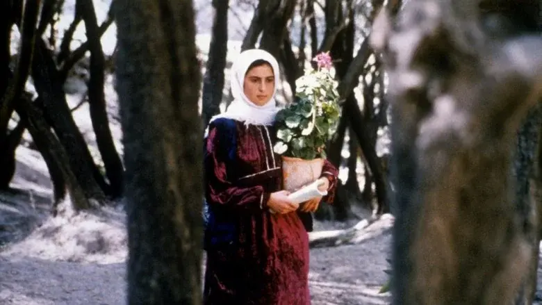 Through the Olive Trees still 3