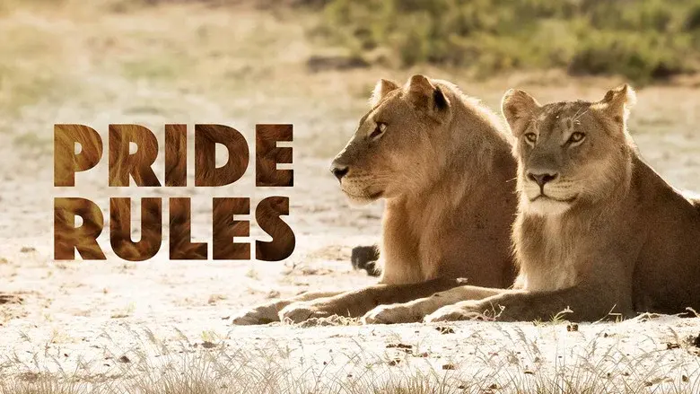 Pride Rules still 5