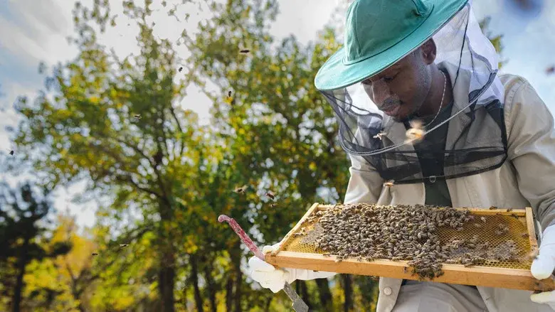 Secrets of the Bees still 4