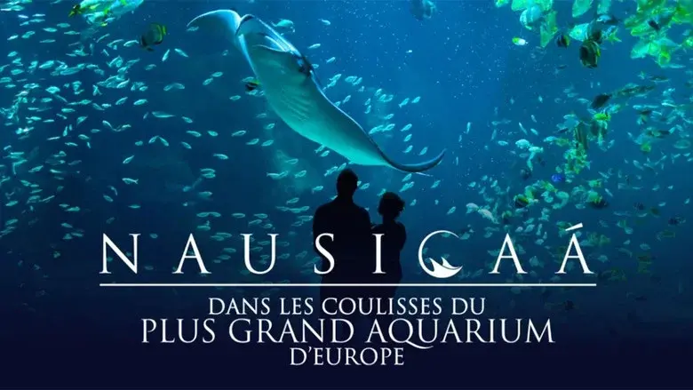 Nausicaá : Dans les coulisses du plus grand aquarium d'Europe still 1