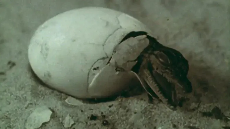 Lucifer Rising still 8