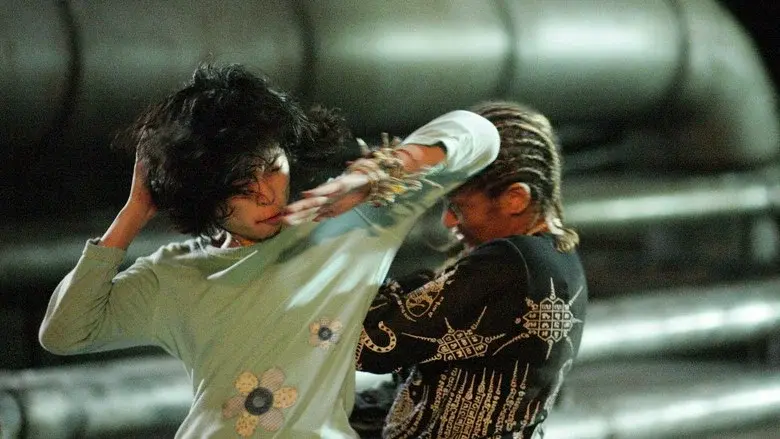 Chocolate still 7