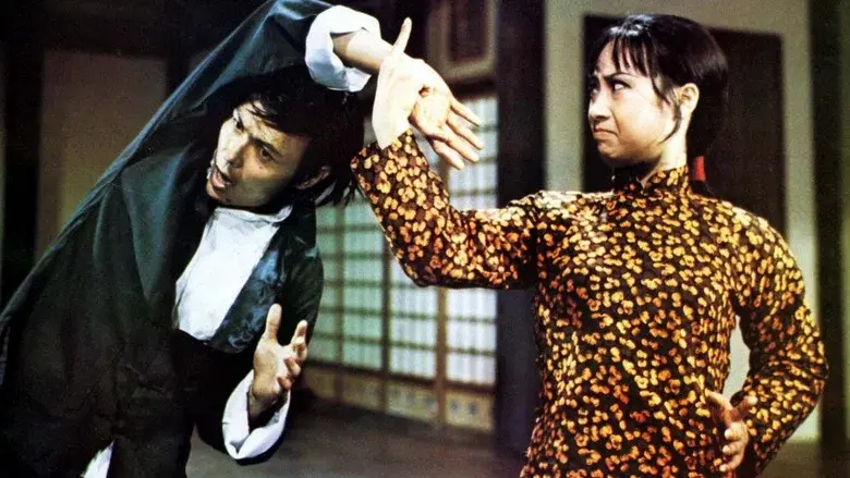 Hapkido still 5