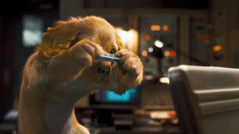 Cats & Dogs: The Revenge of Kitty Galore still 1