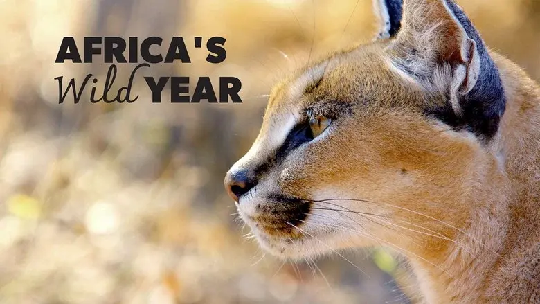 Africa's Wild Year still 2