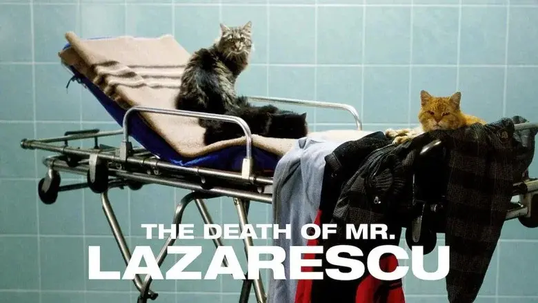 The Death of Mr. Lazarescu still 3
