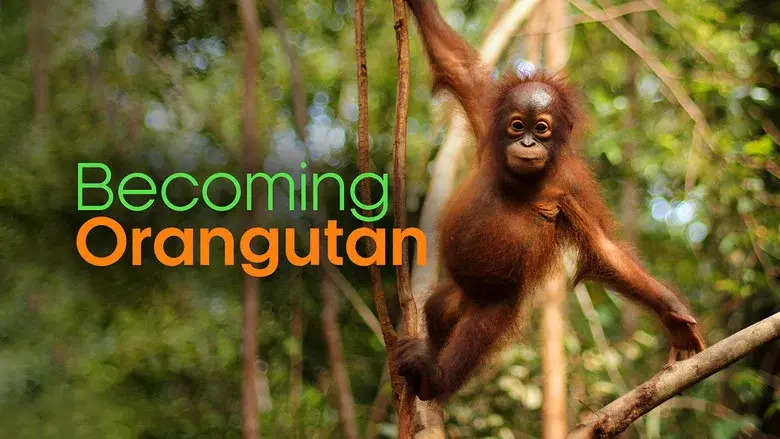 Becoming Orangutan still 1
