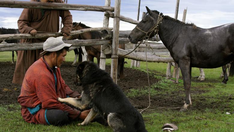 The Bounty Hunter of Mongolia still 1