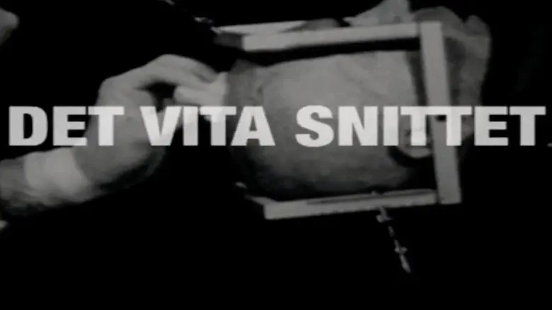 Det vita snittet still 1