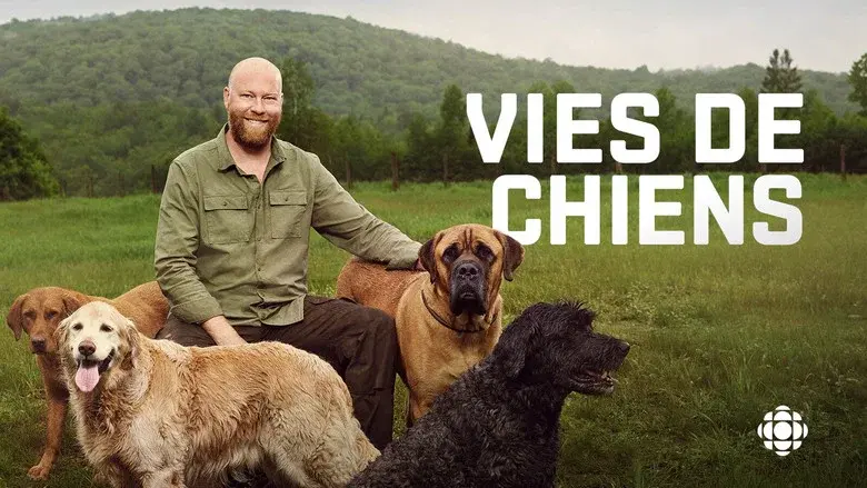 Vies de chiens still 3