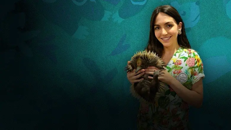 The Bizarre Pet Vets still 2