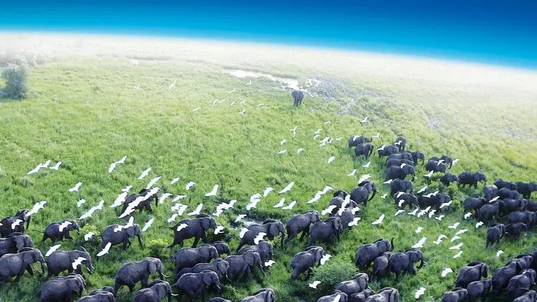 Planet Earth still 5