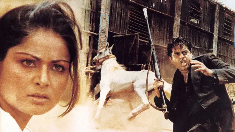 Shaan still 3
