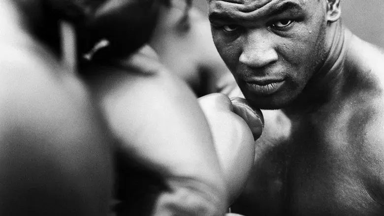 Being Mike Tyson still 2
