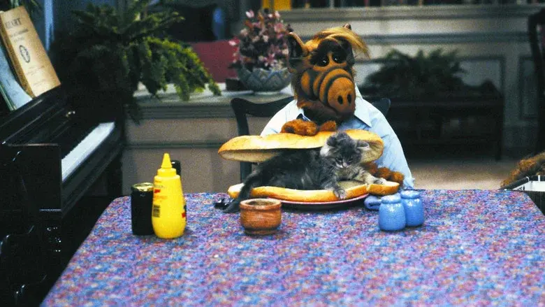 ALF still 3
