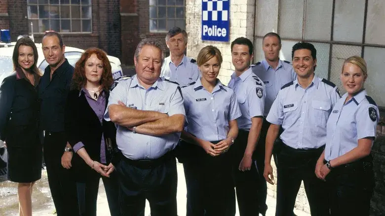 Blue Heelers still 1