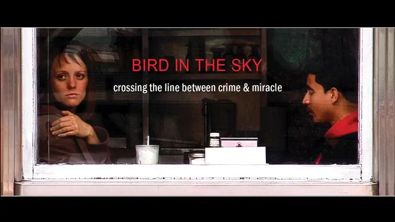 BIRD IN THE SKY still 1