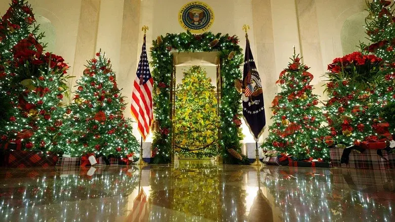White House Christmas still 2