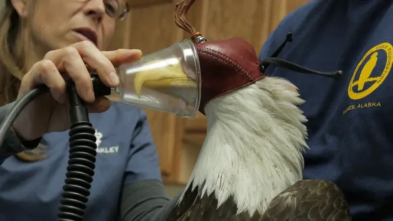 Dr. Oakley, Yukon Vet still 3