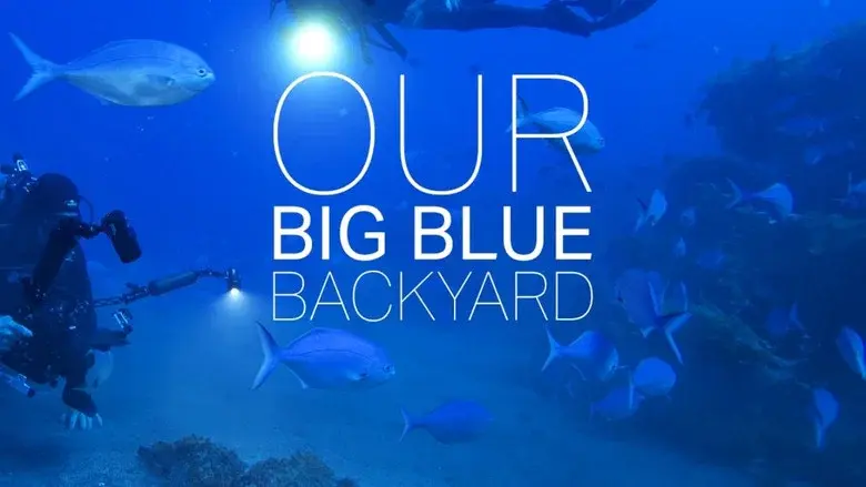 Our Big Blue Backyard still 1