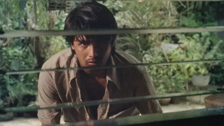 Shake, Rattle & Roll still 5