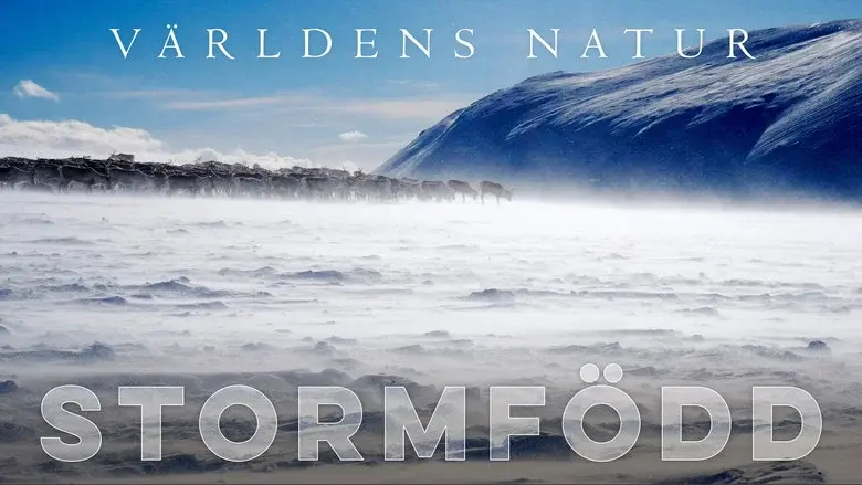 Stormborn still 4