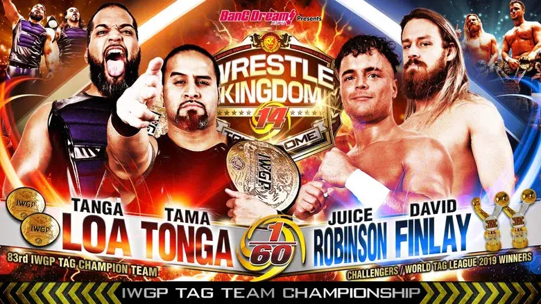 NJPW Wrestle Kingdom 14: Night 1 still 7
