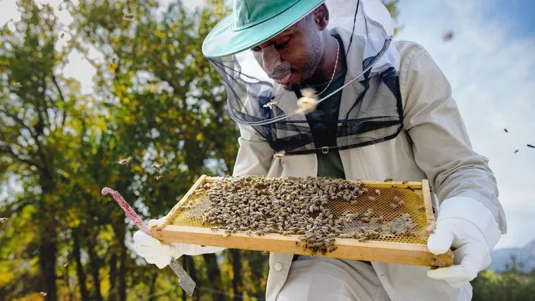 Secrets of the Bees still 3