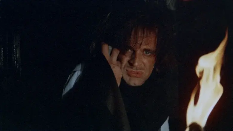Web of the Spider still 6