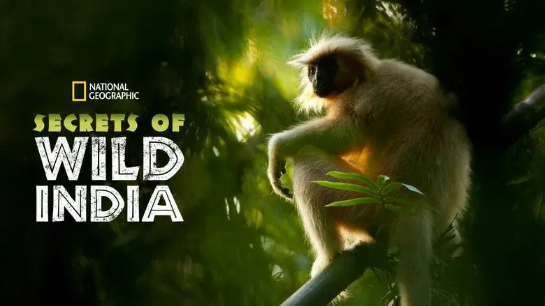 Secrets of Wild India still 3