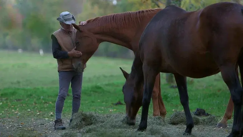 Un cavalier, un rêve, Boucane still 1