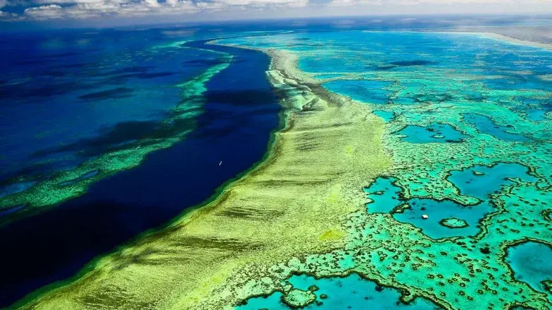 Great Barrier Reef with David Attenborough still 8