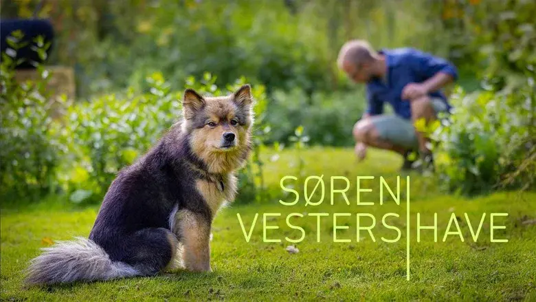 Søren Vesters have still 1
