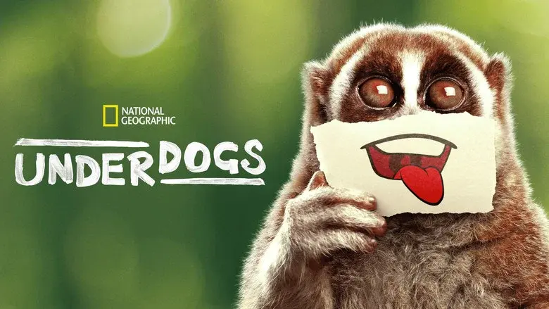 Underdogs still 5