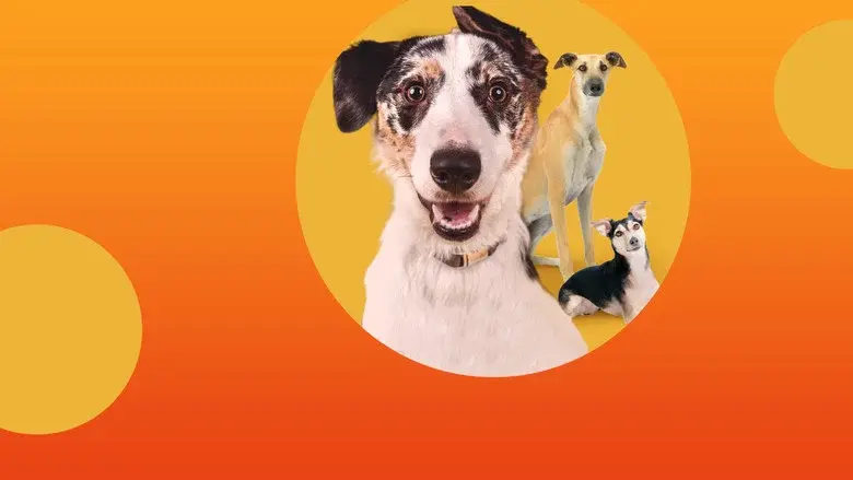 The Dog House Australia still 1