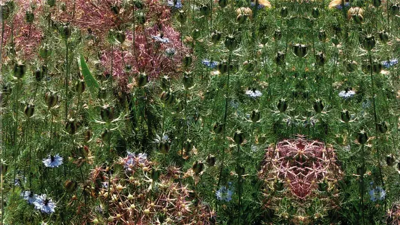 Gardens of the World with Audrey Hepburn still 2