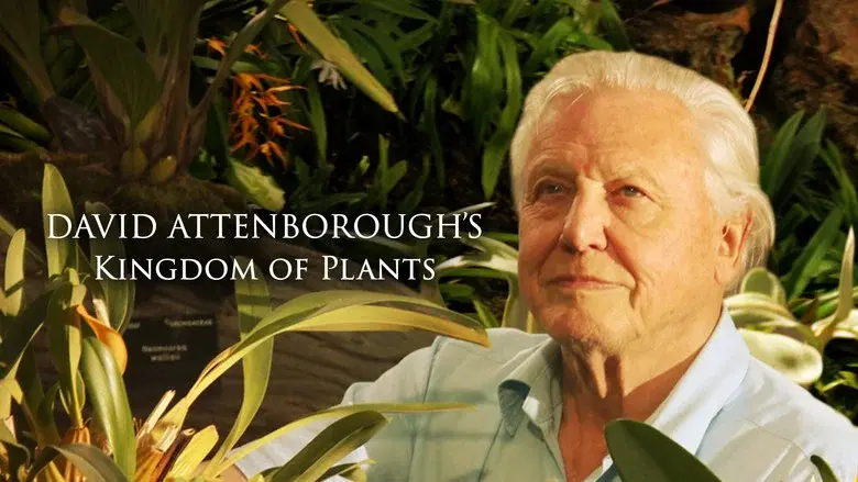 Kingdom of Plants still 4