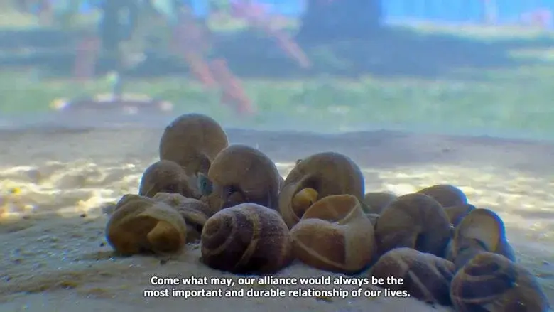 Guerra das conchas still 1